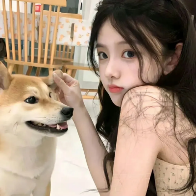 傅队，闪婚请指教